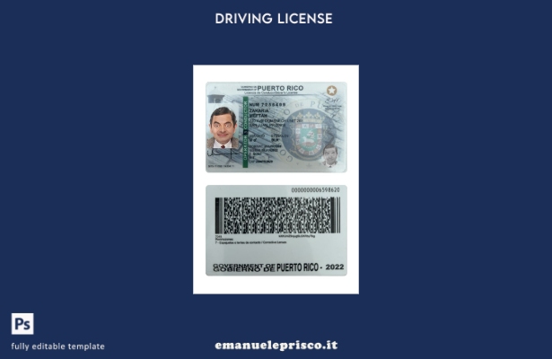 verified style stile verificato modello presente patente di guida di Porto Rico template
